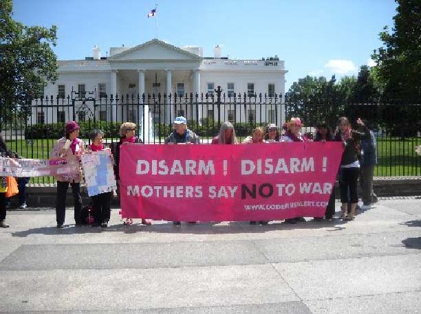 May 2010 Protest at White House Pic #7